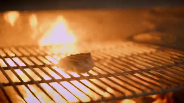 Close-up van geraspte barbecue grill met een plakje vlees — Stockvideo