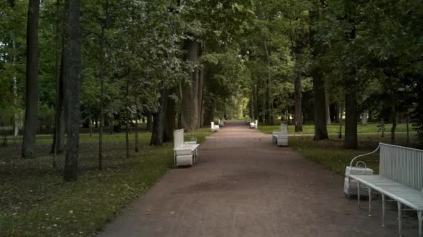 Hanheld câmera lenta de bancos no jardim de verão São Petersburgo — Vídeo de Stock