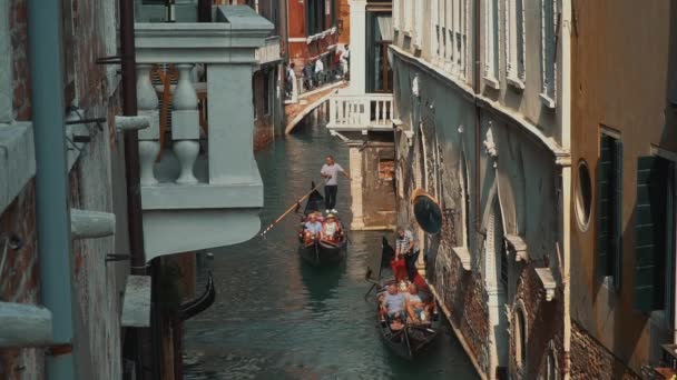 VENICE, ITALY - JULY 2019: Gimbal top view shot of gondolas in Venice in summer — 비디오