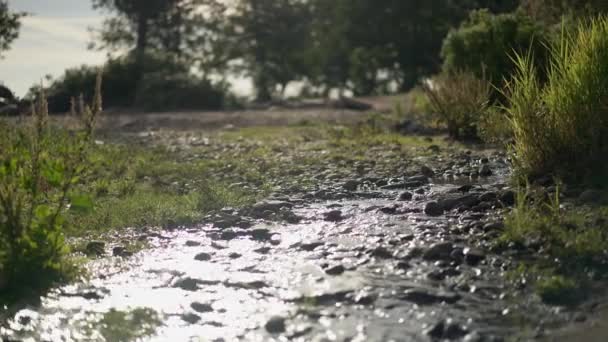 Dışarıda el kamerasıyla çekilmiş su, taşlar ve çimenler. — Stok video