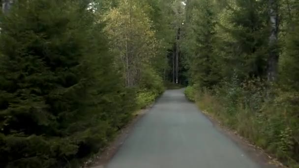 Disparo de mano desde el coche de la carretera en el bosque entre los árboles a lo largo de la carretera — Vídeo de stock