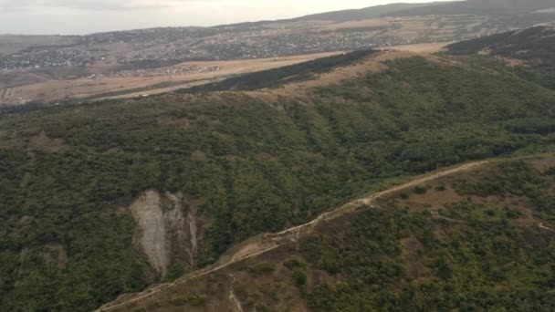 Aerial drone shot zoom fuera de los bosques y el lago de tortugas en Tiflis — Vídeos de Stock