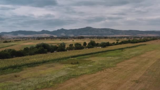 Inclinazione aerea su colpo di campi armeni e auto sulla strada in estate — Video Stock