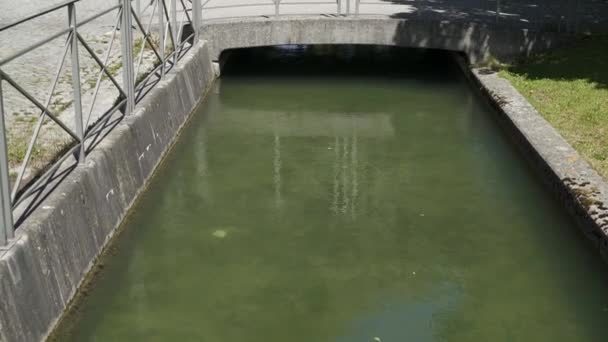 Gimbal tilt up shot de canal y pequeño puente en el parque de Munich — Vídeo de stock