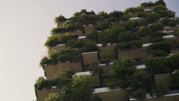 Панорамный снимок квартир в современной зеленой архитектуре эко-зданий — стоковое видео
