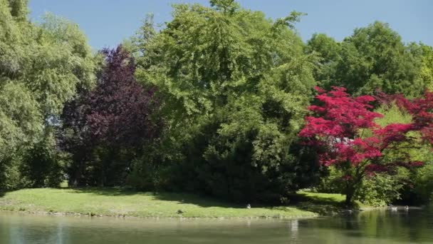 Gimbal pan shot du parc à Munich avec des gens en été — Video