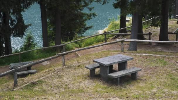 Toma de mano de la zona de descanso cerca del lago en los Alpes en verano — Vídeos de Stock