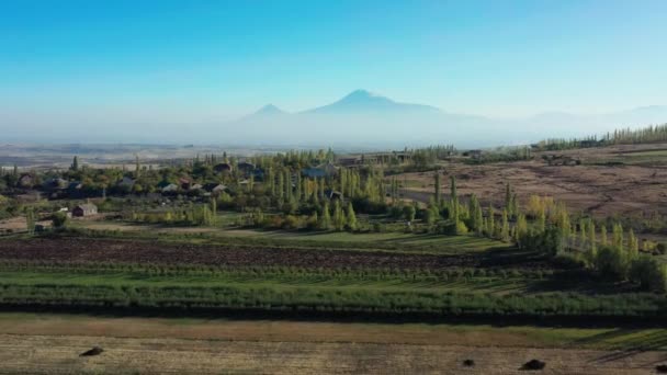 Воздушный беспилотник взлетает над полями и деревьями на фоне горы Арагац — стоковое видео