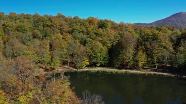 Panorama aérien de drones d'arbres forestiers d'automne près du lac Gosh en Arménie — Video