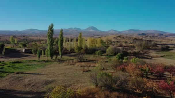 Drone aéreo disparado de derecha a izquierda de los campos y árboles en el fondo del Monte Aragats — Vídeos de Stock