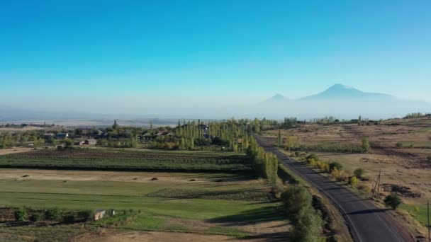 Antenn drönare skott pan skott av fält och träd på bakgrunden av Mount Aragats — Stockvideo