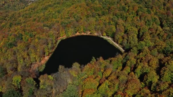 Drone aérien incliné vers le haut des arbres forestiers d'automne près du lac Gosh en Arménie — Video