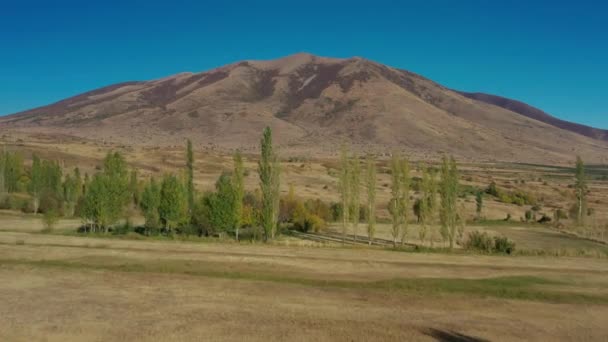 Drohnenschuss fliegt über Felder und Bäume vor dem Hintergrund des Aragats-Berges — Stockvideo