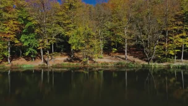 Aerial drone zoom out of autumn forest trees near Gosh Lake in Armenia — Stock Video