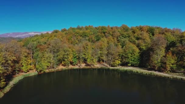 Zoom de drones aéreos de árboles forestales de otoño cerca del lago Gosh en Armenia — Vídeos de Stock