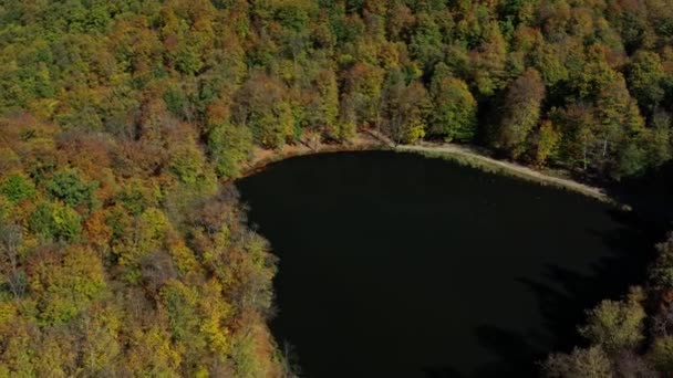 Flygdrönare zooma ut från höst skogsträd nära Gosh Lake i Armenien — Stockvideo