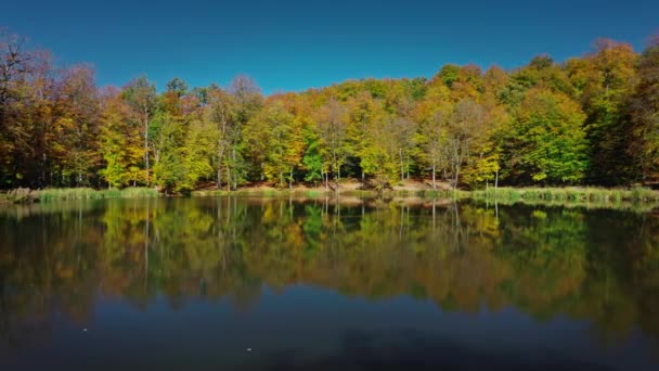 Panorama aérien de drones d'arbres forestiers d'automne près du lac Gosh en Arménie 