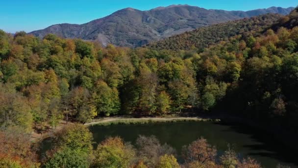 Panorama aérien de drones d'arbres forestiers d'automne près du lac Gosh en Arménie — Video