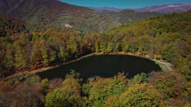 Zoom aérien des drones des arbres forestiers d'automne près du lac Gosh en Arménie — Video