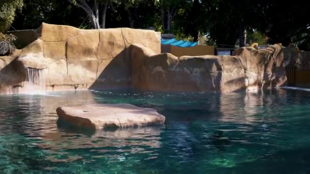Гимбальный снимок тюленя, купающегося в испанском зоопарке — стоковое видео