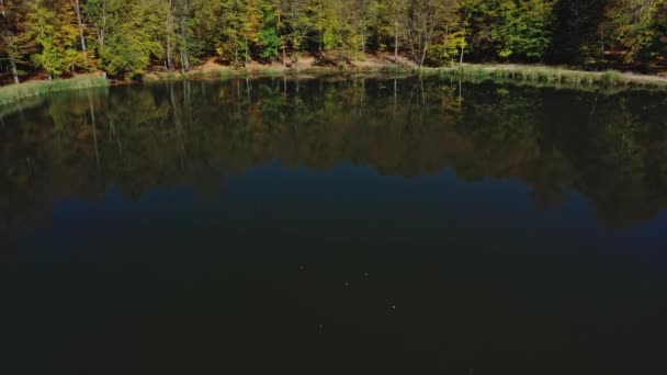 Aerial drone tilt up of autumn forest trees near Gosh Lake in Armenia — Stock Video