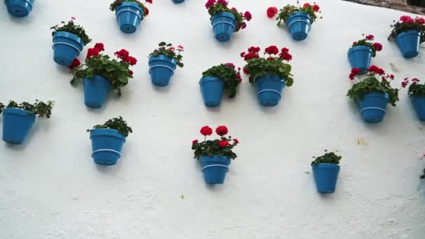 Pan shot van blauwe bloempotten op witte muur in Malaga, Spanje — Stockvideo