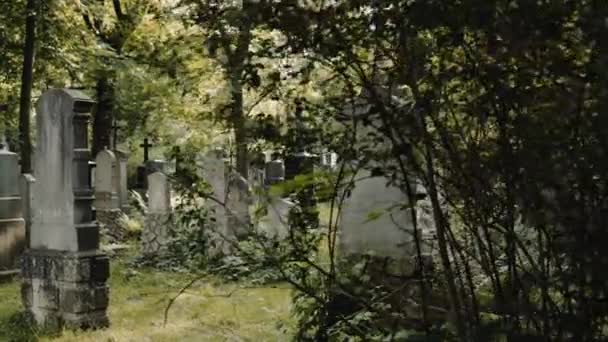 Misterious Walk around tombes in European old cemetry . — Video