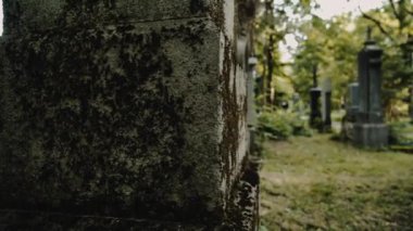 Avrupa 'nın eski mezarlığında Misterious Yürüyüşü.