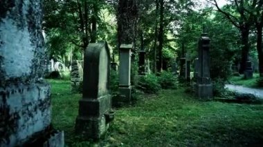 Avrupa 'nın eski mezarlığında Misterious Yürüyüşü.