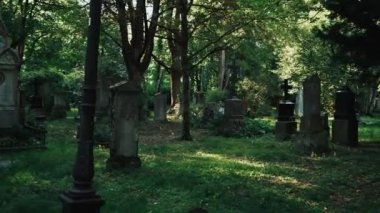 Avrupa 'nın eski mezarlığında Misterious Yürüyüşü.