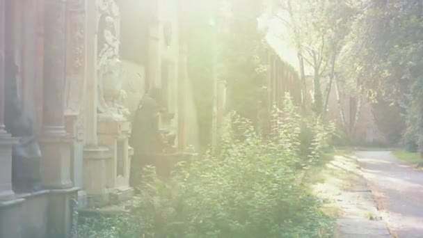 Mysterieuze wandeling rond graven in Europese oude begraafplaats. — Stockvideo