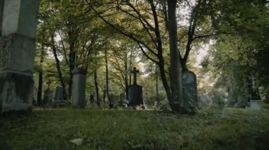 Avrupa 'daki eski mezarlıkta gizemli bir yürüyüş. Korku konsepti. Yavaş çekim.