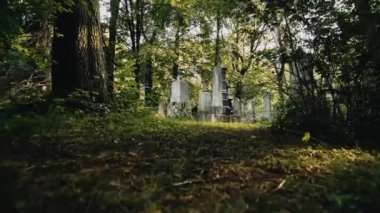 Avrupa 'daki eski mezarlıkta gizemli bir yürüyüş. Korku konsepti. Yavaş çekim.