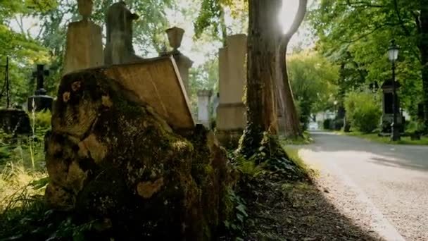 Misterious Walk runt gravar på europeisk gammal kyrkogård. — Stockvideo