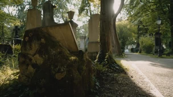 Tajemniczy spacer po grobach na starym cmentarzu europejskim. Koncepcja horroru. Zwolniony ruch. — Wideo stockowe