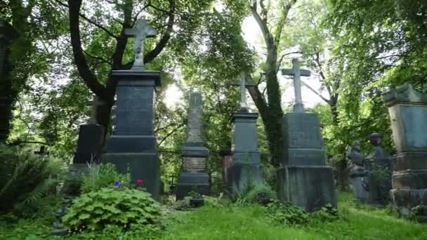 Caminhada misteriosa em torno de sepulturas no velho cemitério europeu. O conceito de horror. Movimento lento . — Vídeo de Stock