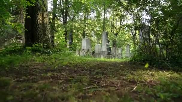 Таинственная прогулка вокруг могил на старом европейском кладбище. Концепция ужаса. Медленное движение . — стоковое видео