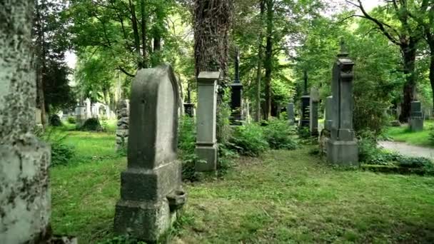 Mysteriöser Spaziergang um Gräber auf dem alten europäischen Friedhof. Das Konzept des Grauens. Zeitlupe. — Stockvideo