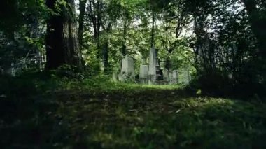 Avrupa 'nın eski mezarlığında Misterious Yürüyüşü.