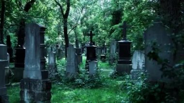 Avrupa 'nın eski mezarlığında Misterious Yürüyüşü.