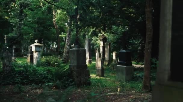 Misterioso paseo alrededor de tumbas en la vieja cemetría europea . — Vídeos de Stock