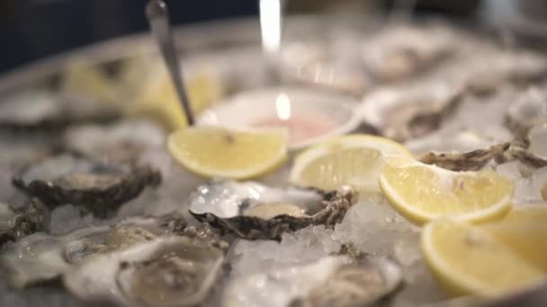 Close tilt up micro shot of oysters on a plate in a restaurant — Stok video