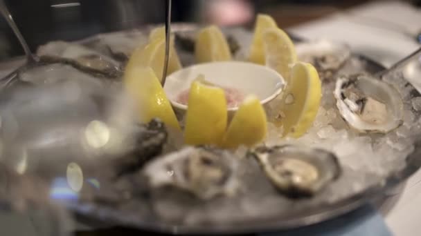 Primer plano micro disparo de ostras en un plato en un restaurante — Vídeo de stock