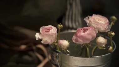 Close up of female florist putting pink roses into a bucket
