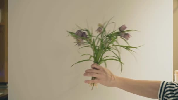 Handheld shot hand holding branches of fritillaria against grey background — 图库视频影像