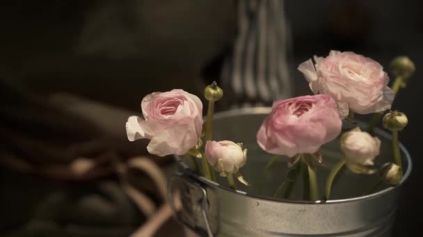 Primer plano de florista femenina poniendo rosas rosadas en un cubo — Vídeo de stock