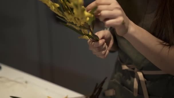 Close up of female holding a branch of mimosa in a flower shop — Αρχείο Βίντεο