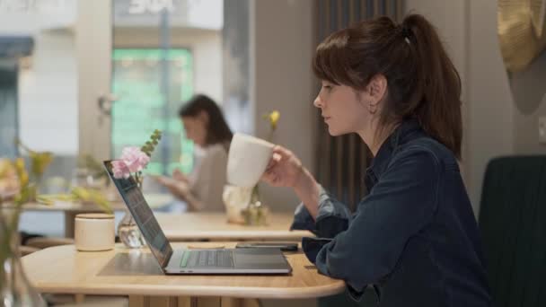 Μέση φωτογραφία προφίλ της γυναίκας που εργάζεται με ένα φορητό υπολογιστή σε μια καφετέρια — Αρχείο Βίντεο