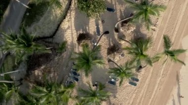 Kum sahilinde ve okyanus dalgalarında palmiye ağaçlarının drone görüntüsünü büyüt