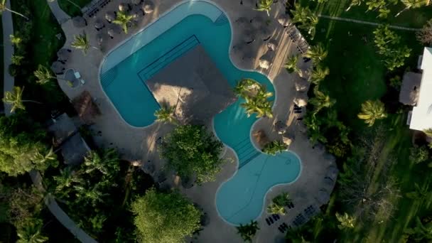 Zoom uit drone shot van het zwembad met palmbomen — Stockvideo